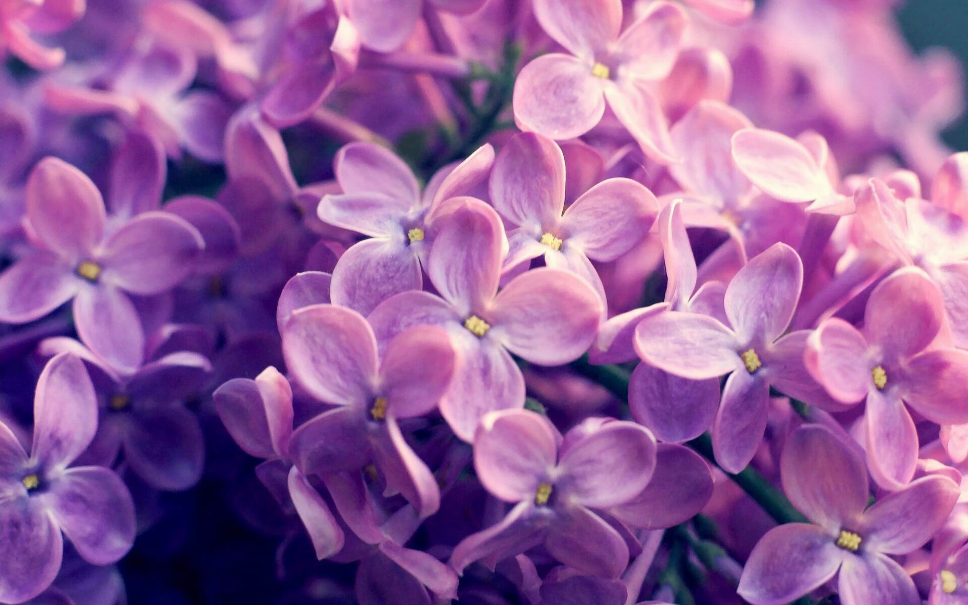 欧冠决赛上演南美风暴，哥伦比亚式足球如何轻取德甲豪强多特蒙德