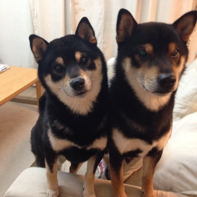 欧冠决赛上演南美风暴，哥伦比亚式足球如何轻取德甲豪强多特蒙德